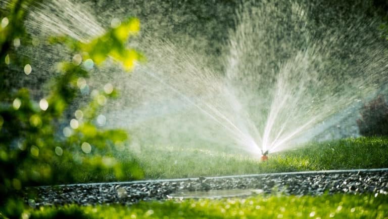 Water Sprinkler on Grass - 2021 Water Restrictions for Austin and Surrounding Areas