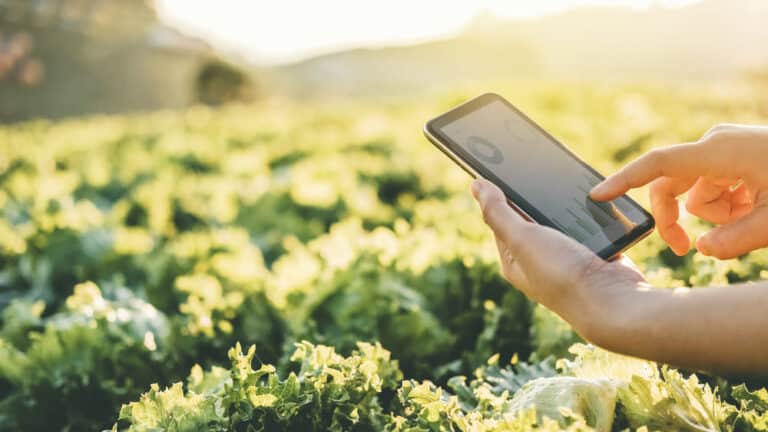 Why You Need a Smart Controller for Your Sprinkler System
