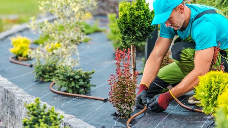Top 5 Reasons to Choose a Professional Irrigation Company