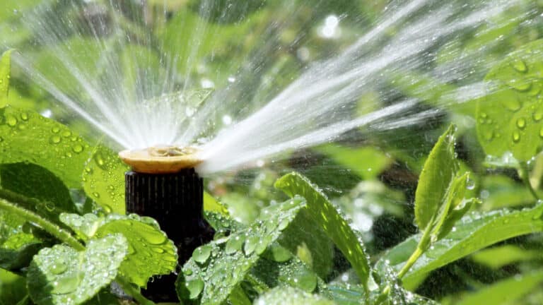 Common Irrigation Sprinkler System Repairs