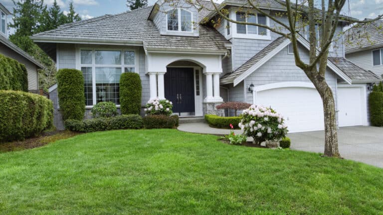 Fall Lawn Care in Austin