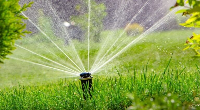 How Much Does Sprinkler Repair Cost