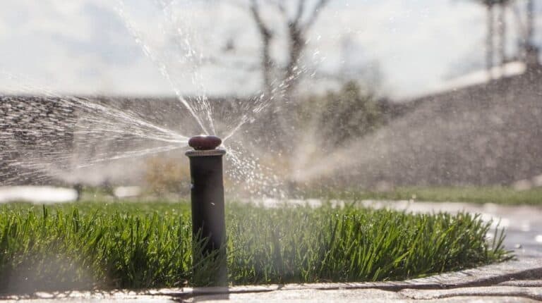 When Should You Start Up Your Sprinkler System After Winter