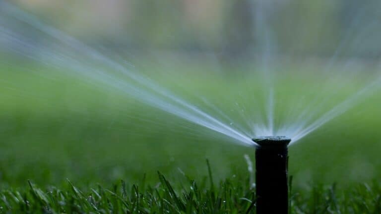 automatic sprinkler system watering the lawn on a background of green grass