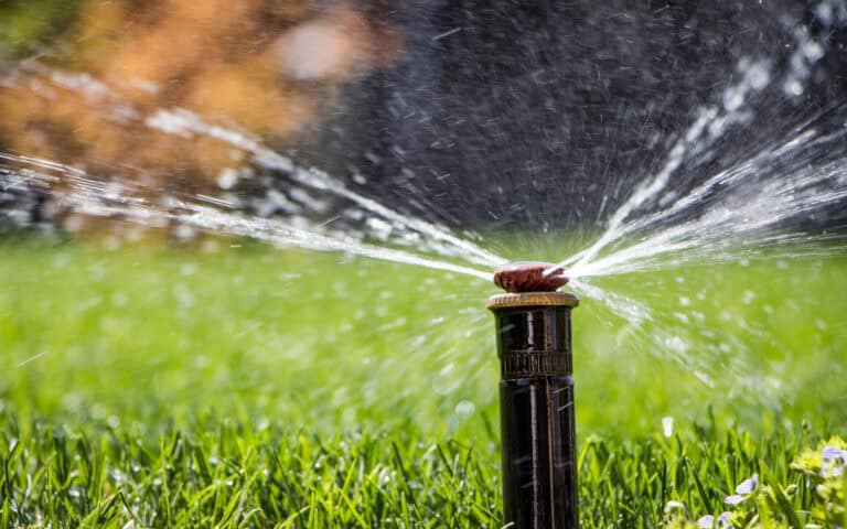 Healthy Home Sprinkler System