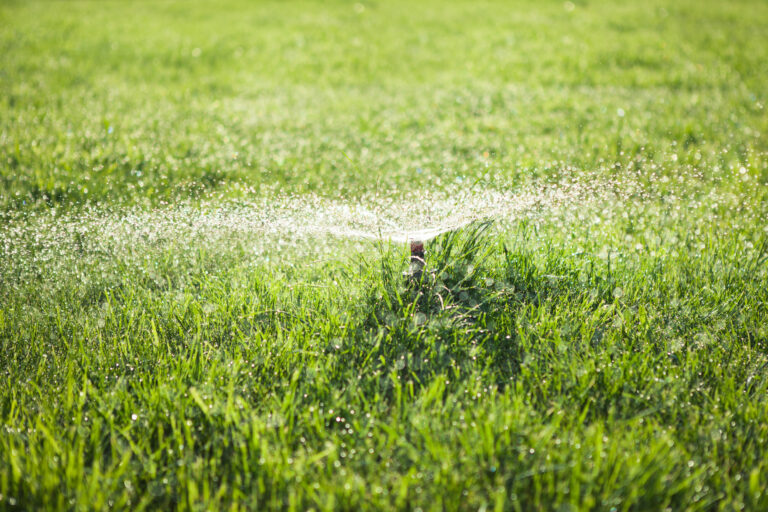 Preparing Your Sprinkler System for Austin’s Fall & Winter: What You Need to Know