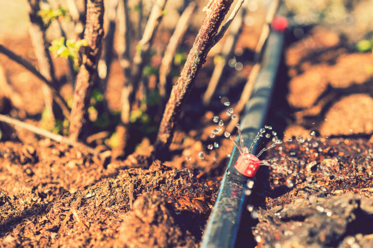Drip Irrigation Troubleshooting Tips