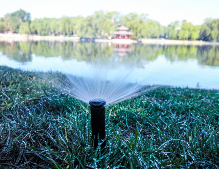 Top 3 Sprinkler Repairs We See Most Often in Austin Yards