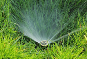 Finding the Right Watering Schedule for Lawns