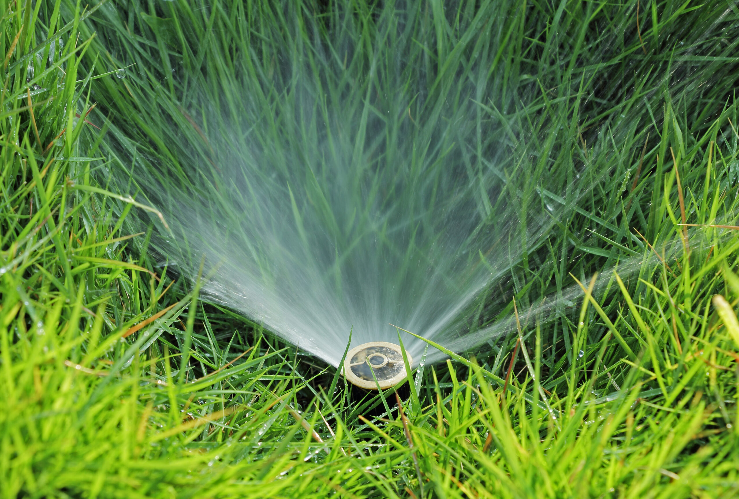 Finding the Right Watering Schedule for Lawns