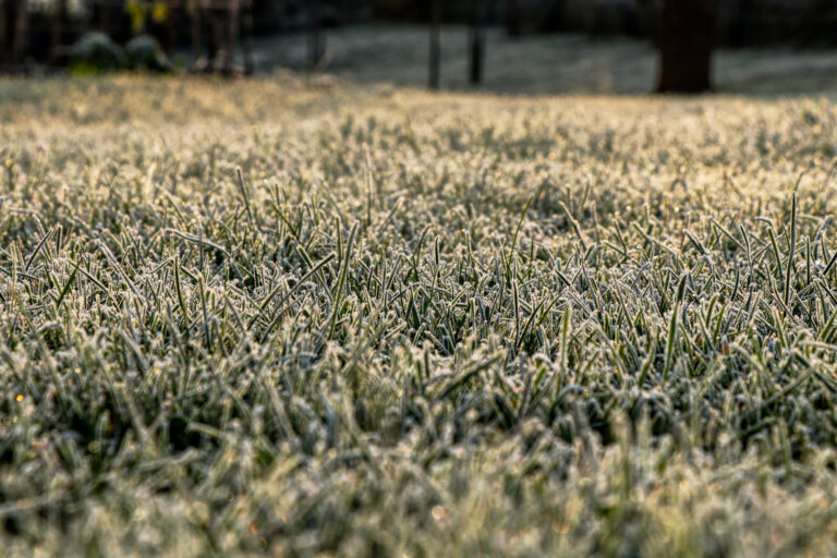 Homeowner’s Guide to Winter Sprinkler & Lawn Care