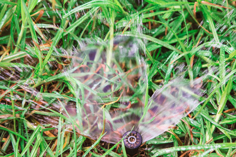 Hidden Sprinkler System Problems to Fix Before Spring