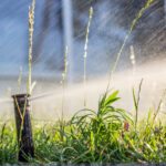 Sprinkler System in Summer