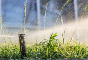 Sprinkler System in Summer