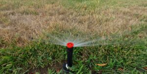Missed Your Spring Sprinkler Tune-Up? It’s Not Too Late